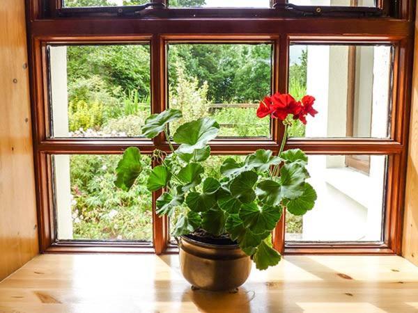 Hawthorn Farm Cottage Curry Екстер'єр фото