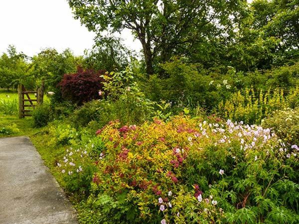Hawthorn Farm Cottage Curry Екстер'єр фото