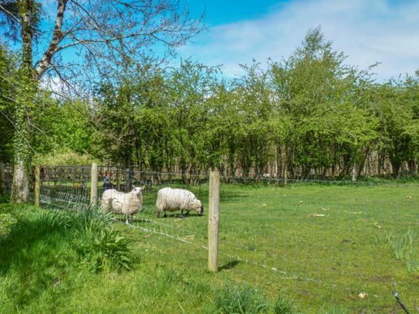 Hawthorn Farm Cottage Curry Екстер'єр фото